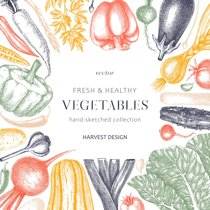 Hand-sketched Vegetable frame design in color. Hand-drawn tomatoes, squashes, peppers, potatoes, asparagus and other vegetables card. Healthy food template for menu, recipe, restaurant, packaging